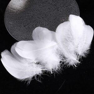 5 Grams White Feather Crafts, Dream Catcher Accessories, Art Projects, DIY Crafting - Image 3